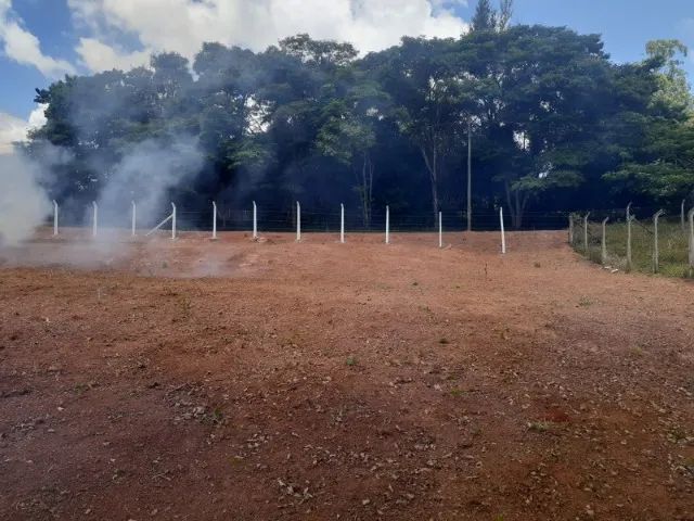 Foto - Mateus Leme - 