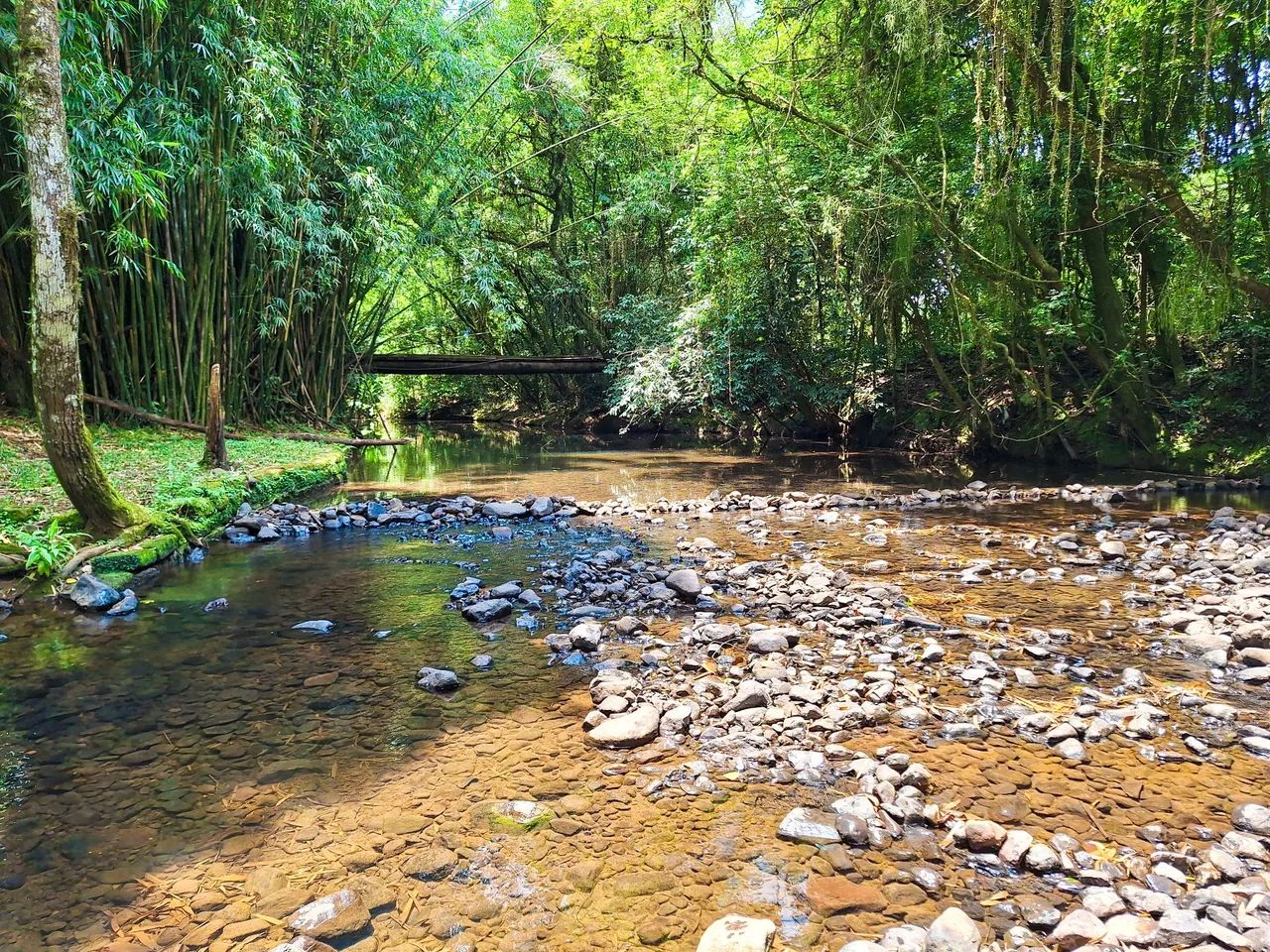 Foto - Santo Antônio da Patrulha - 