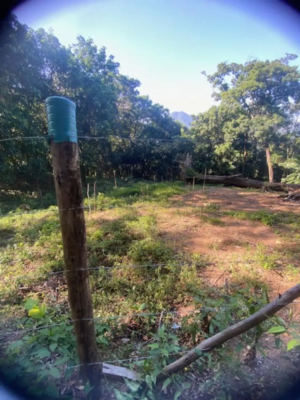 Terreno para venda com 1200 metros quadrados em Vargem Grande - Rio de Janeiro - RJ