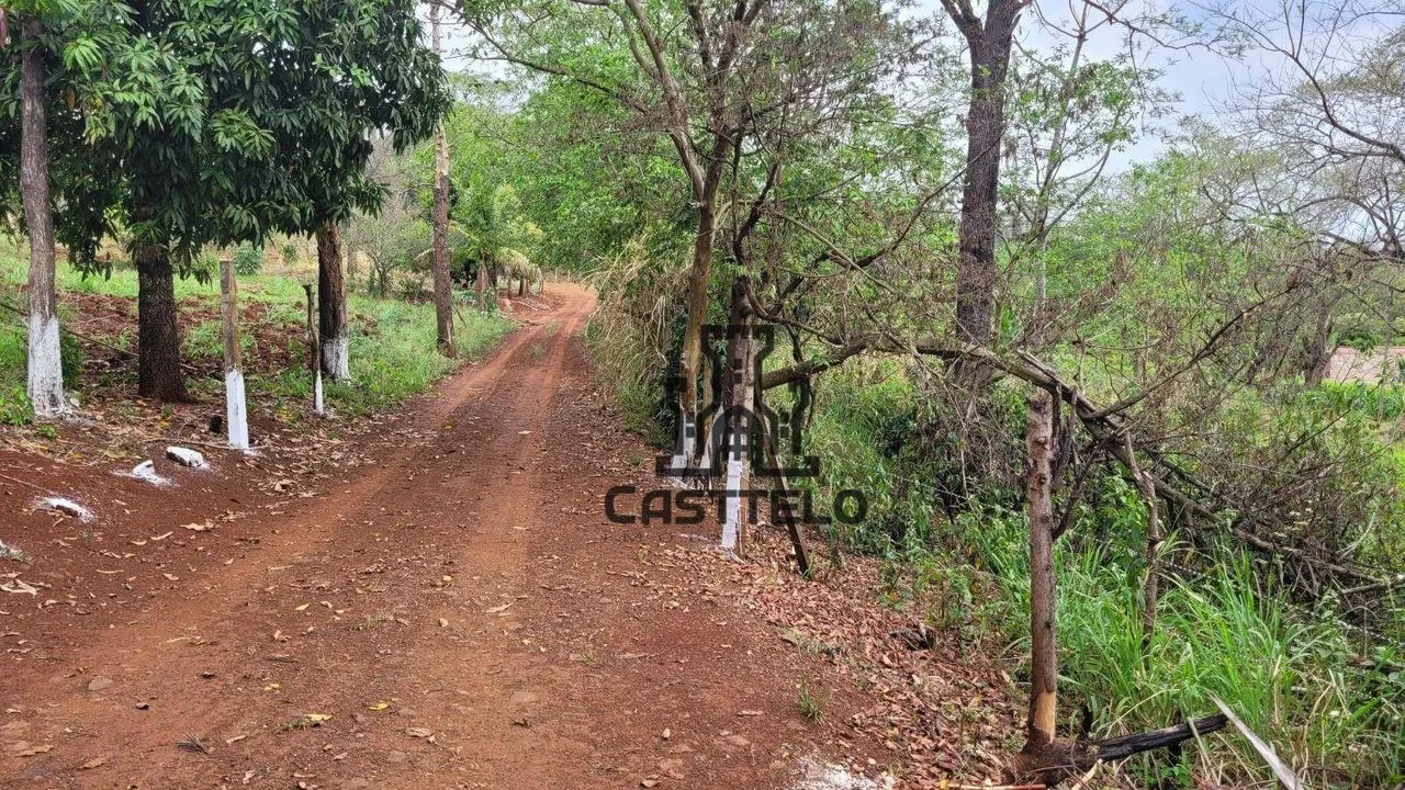 Chácara à venda, 6050 m² por R$ 180.000,00 - Jataizinho - Jataizinho/PR - Foto 4