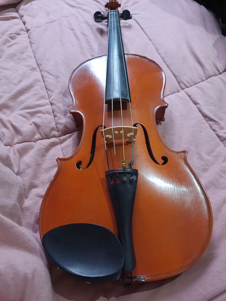 Viola Cremona  - Foto 5