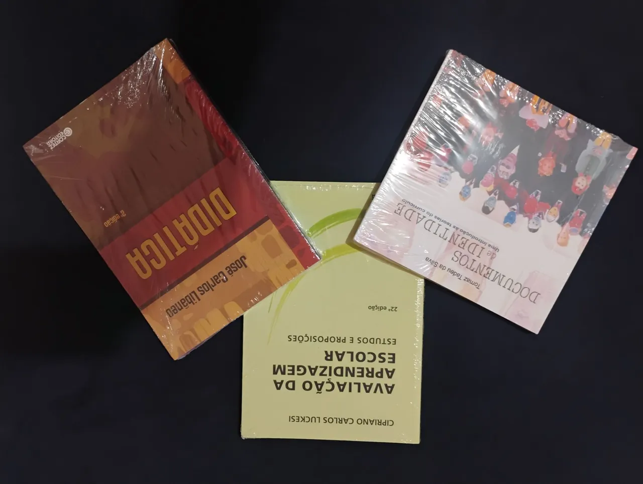 Livros Didáticos: Didática, Avaliação da Aprendizagem e Documentos de Identidade