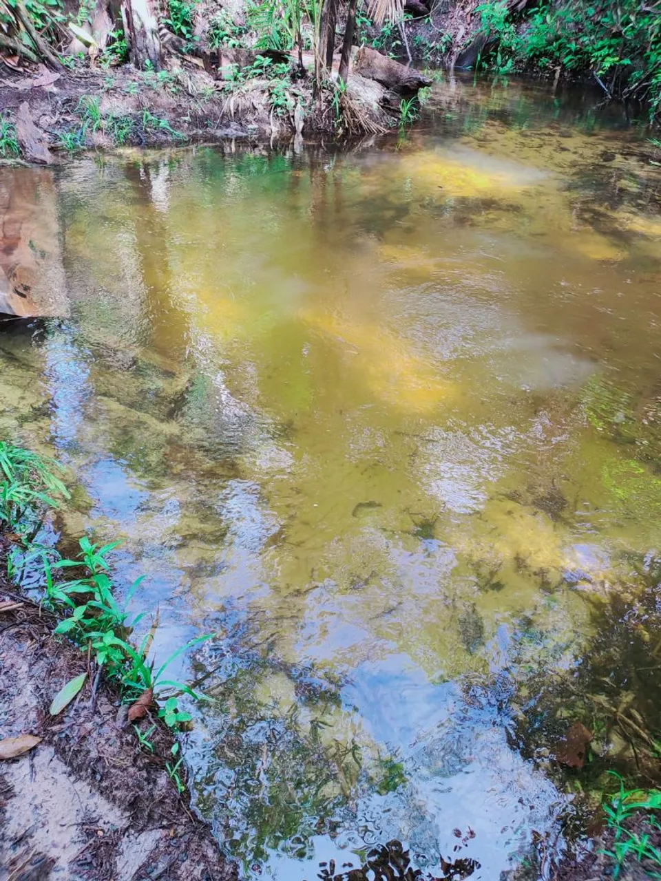 Terreno com riacho à venda - Morros/MA.