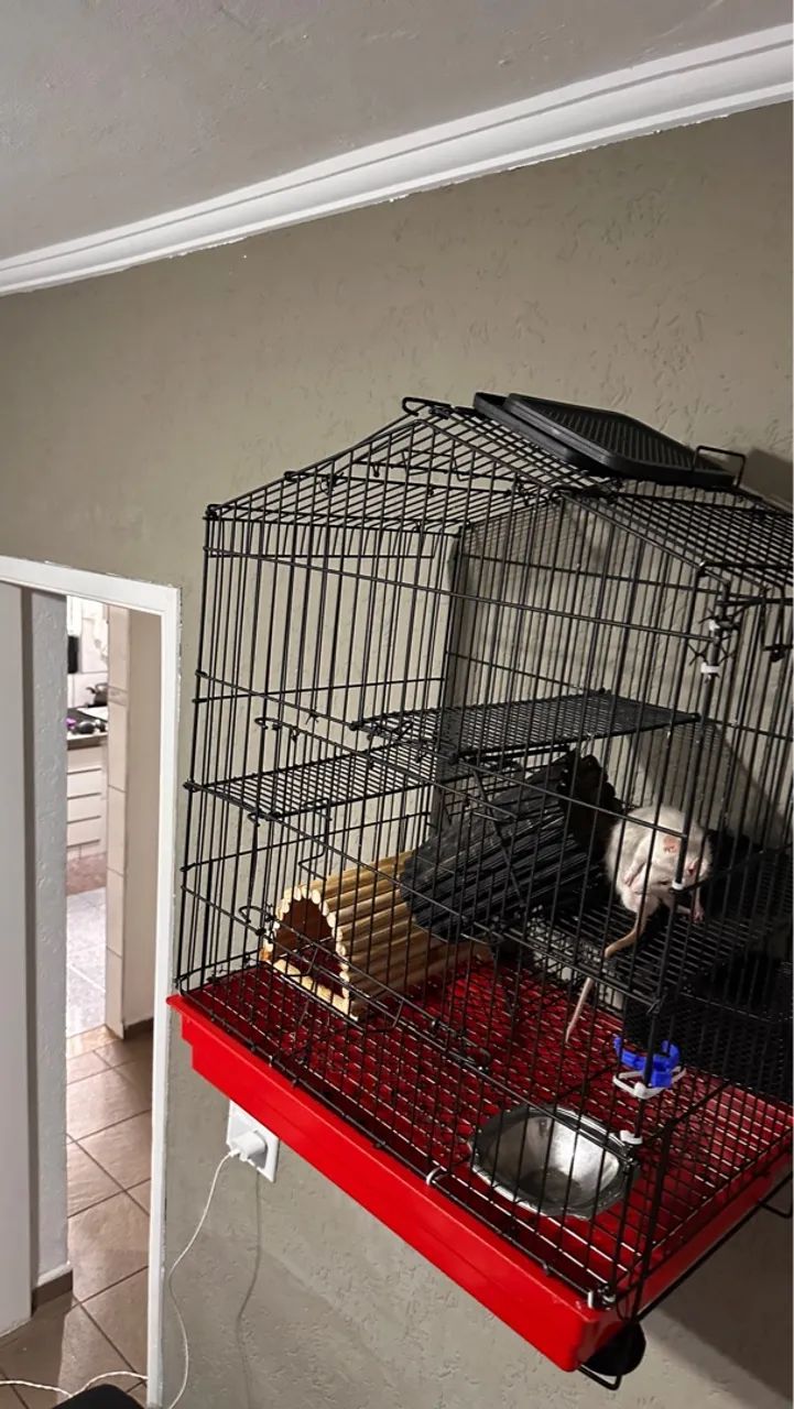 Gaiola para roedores - Foto 3