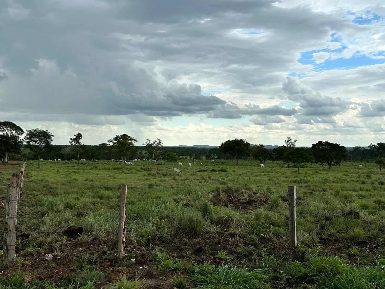 Vende se chácara  - Foto 8