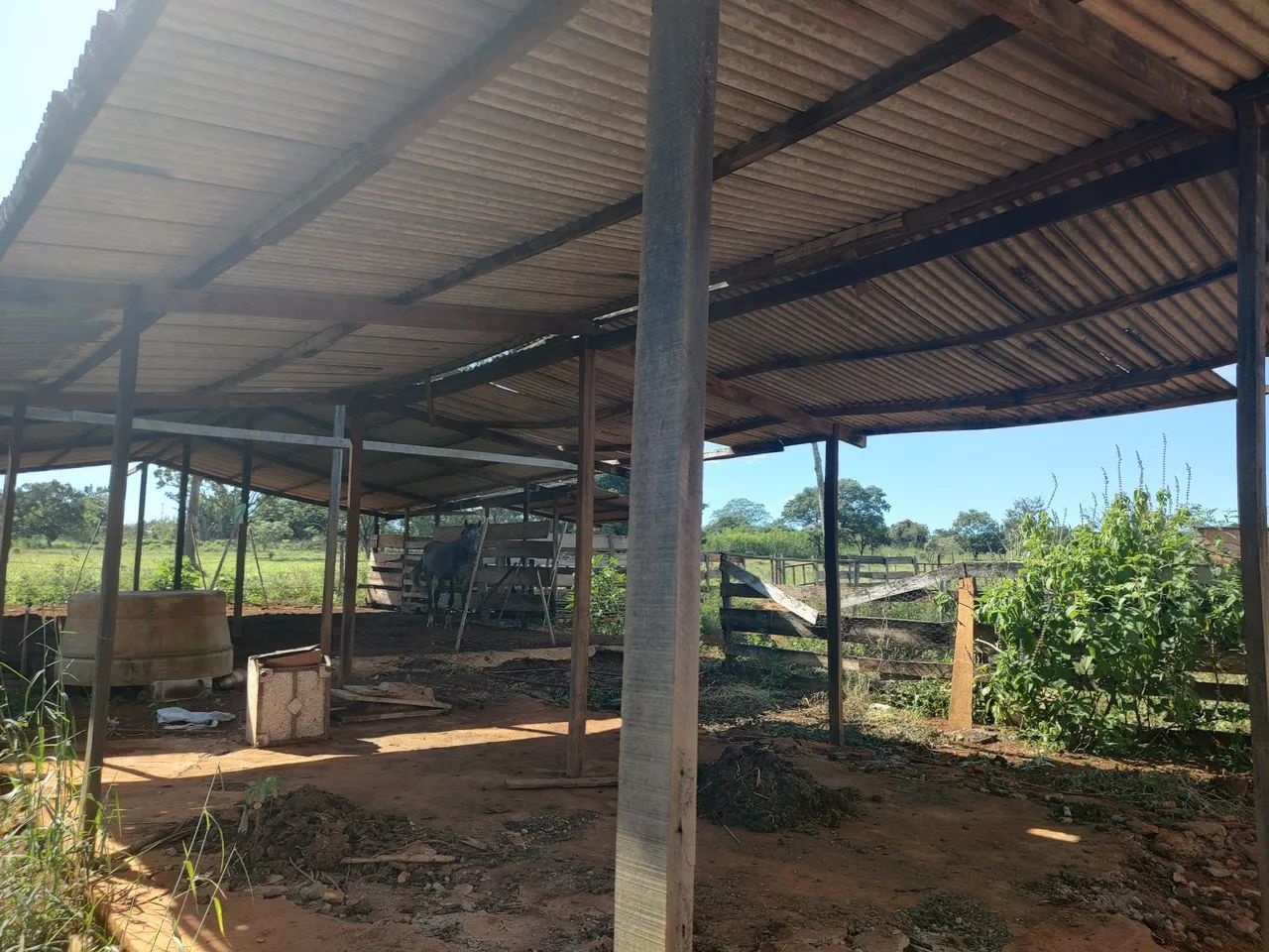 Chácara 40.000 M2 formada jardim ingá Luziânia go - Foto 5