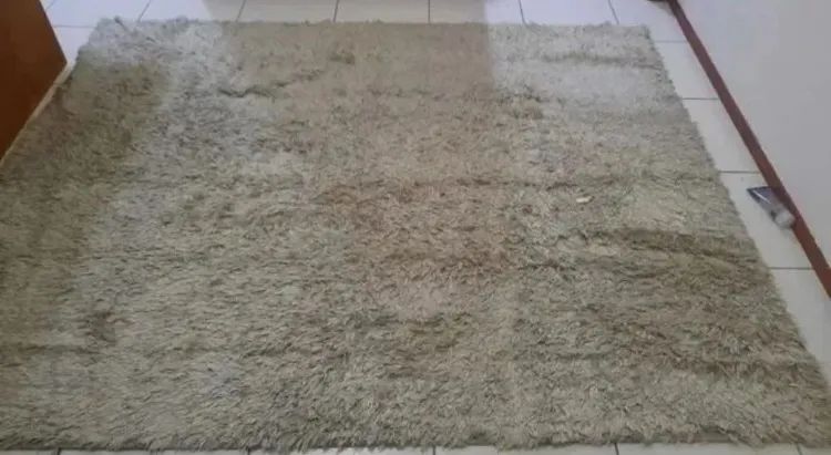 Tapete Peludo Bege Claro 3mx2,5m