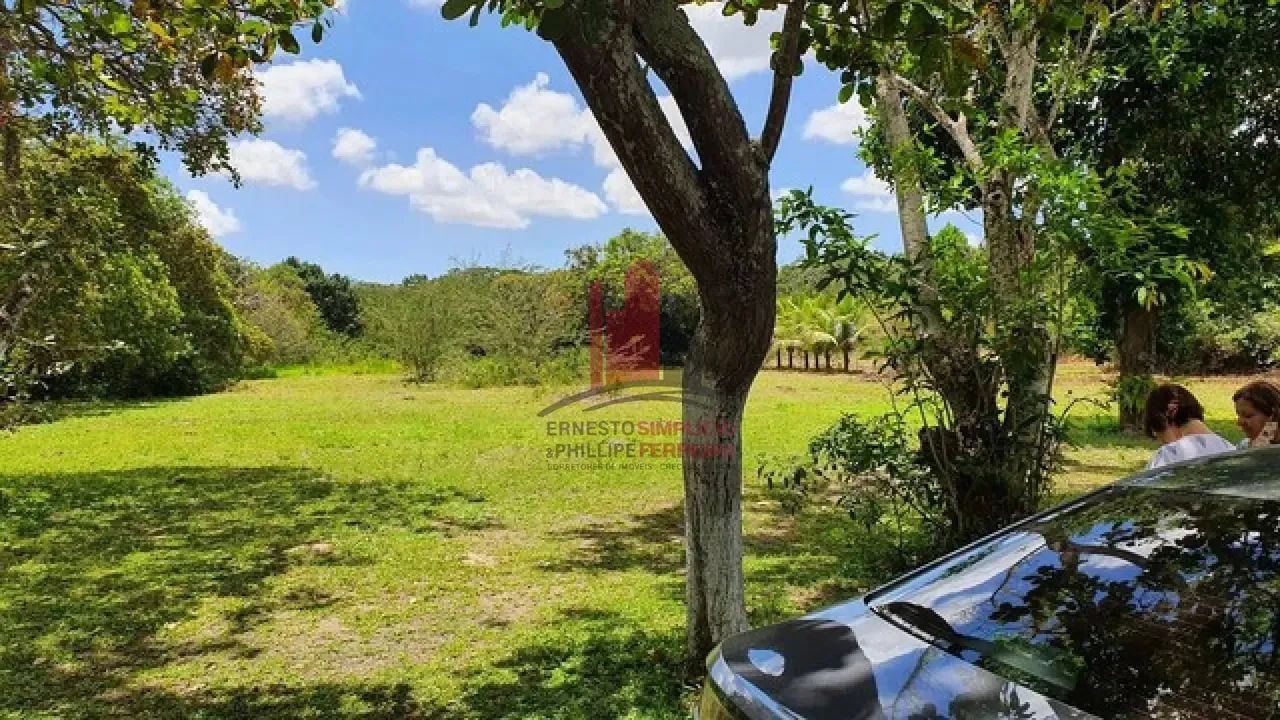 Terreno de 5000m em Aldeia - Foto 3