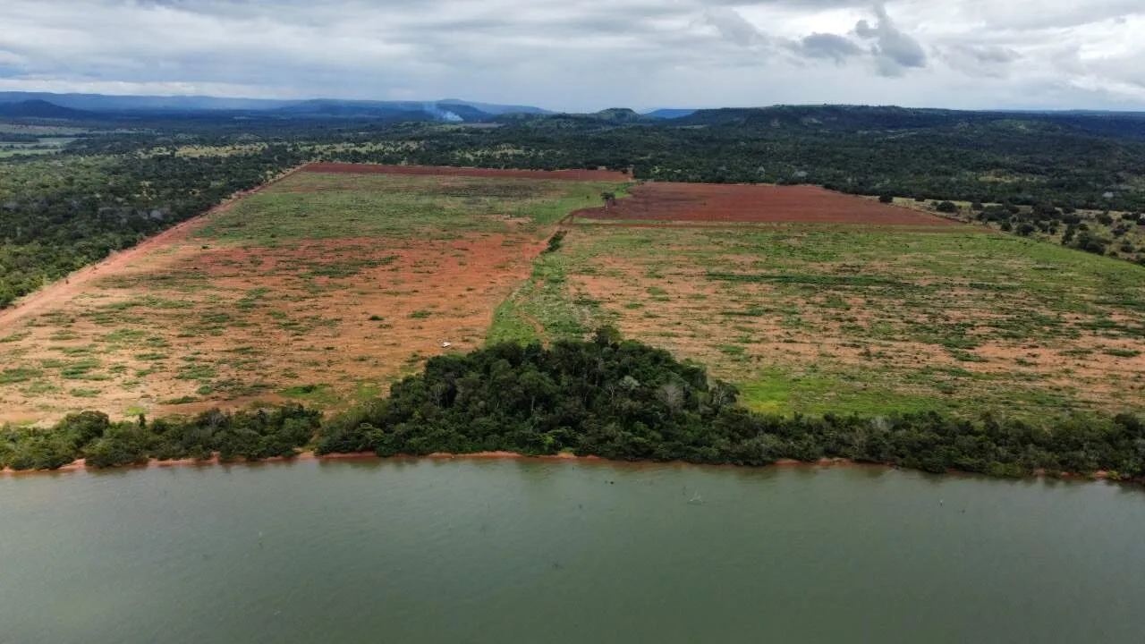 Fazenda - Porto Nacional