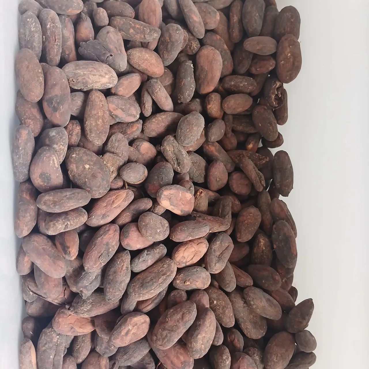 Amêndoas Cacau fino