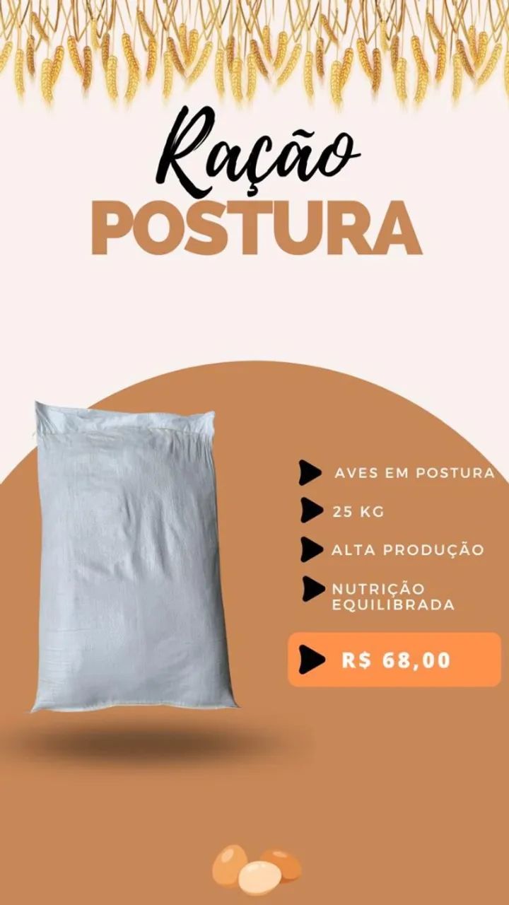 Ração e Frangas - Foto 4