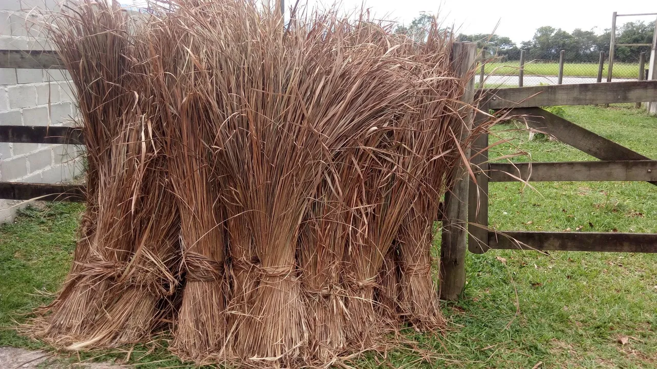 Sape..Fardos de Palha para Decoração e Cobertura