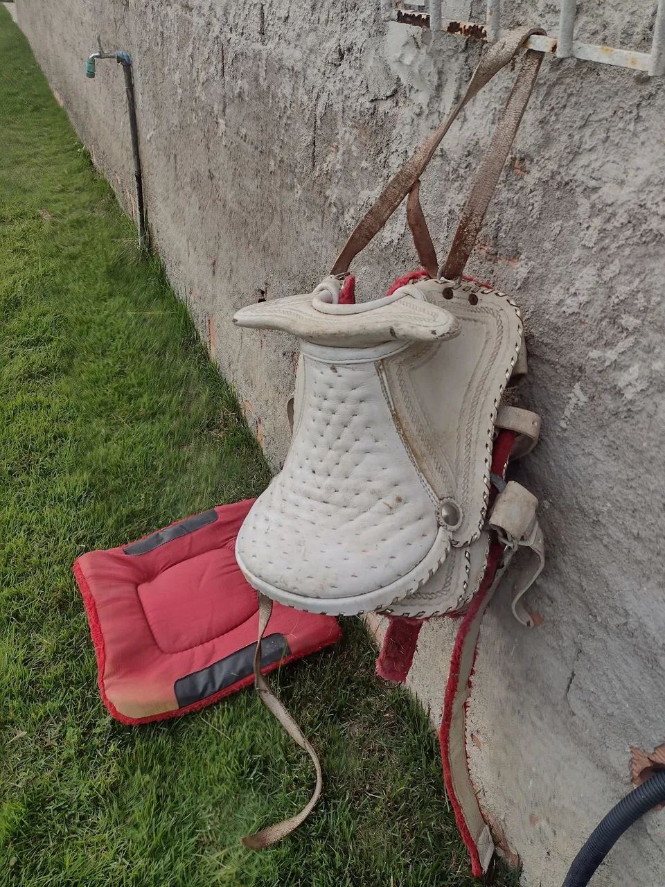 Vendo arreio pra mini ponei - Foto 3