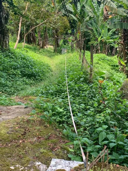 Terreno em Taquari - Paraty - Foto 11