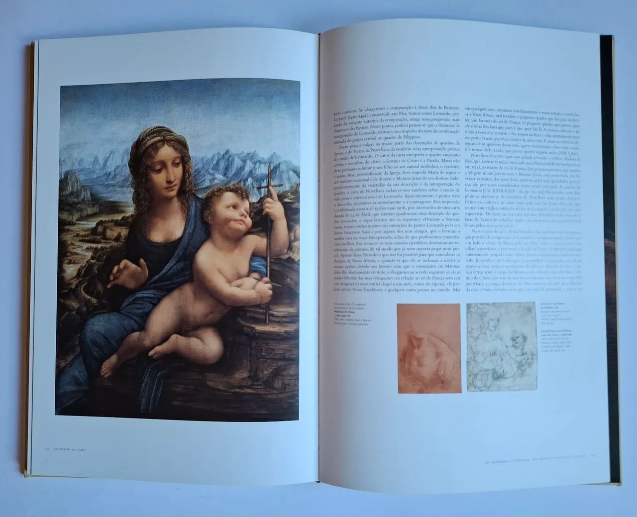 Leonardo Da Vinci Frank Zollner 2005 - Foto 5