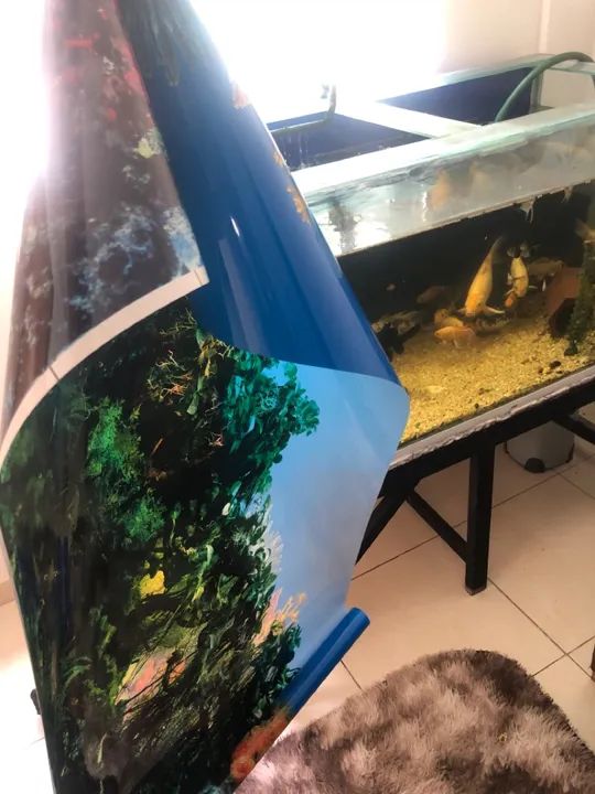 Aquário de 576 litros completo  - Foto 5