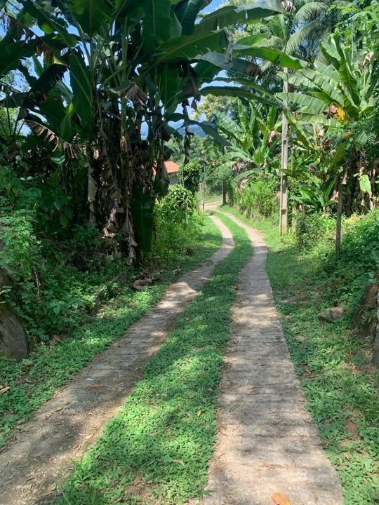 Terreno em Taquari - Paraty - Foto 9