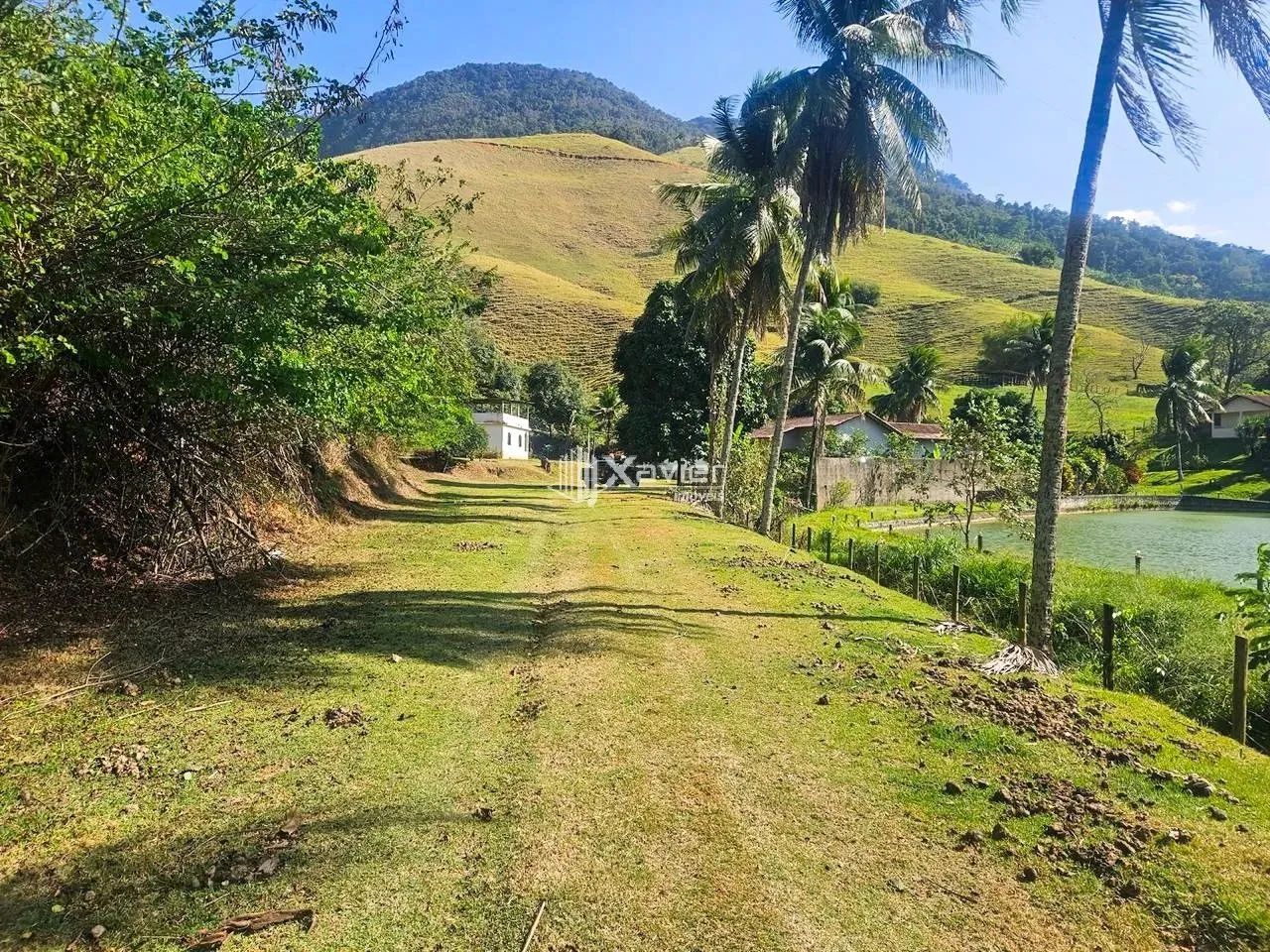 Chácara à venda com 8.000 m² em Alfredo Chaves-ES - Foto 3