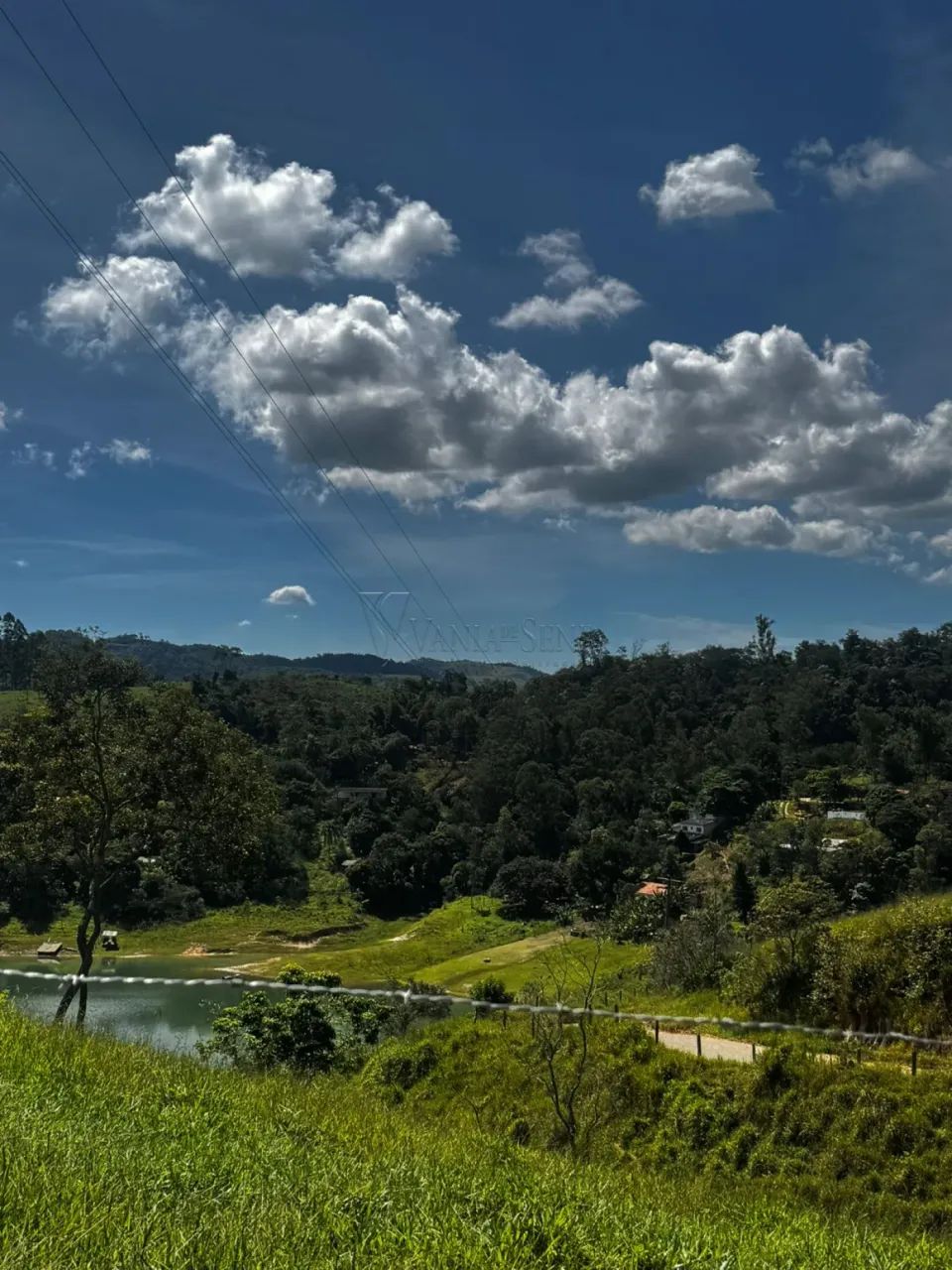 Rural Chácara em Santa Branca - Foto 4