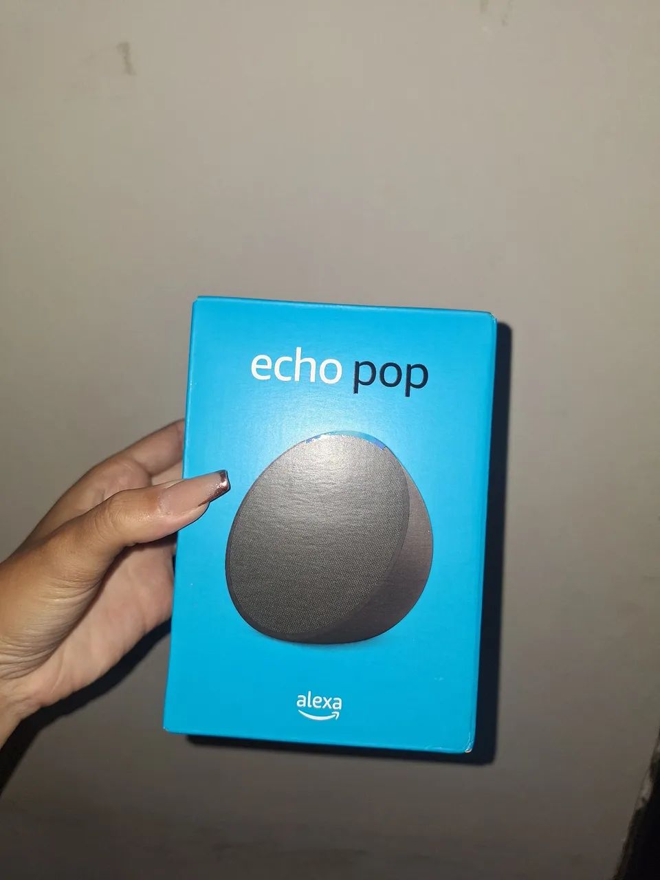 Alexa Echo PoP