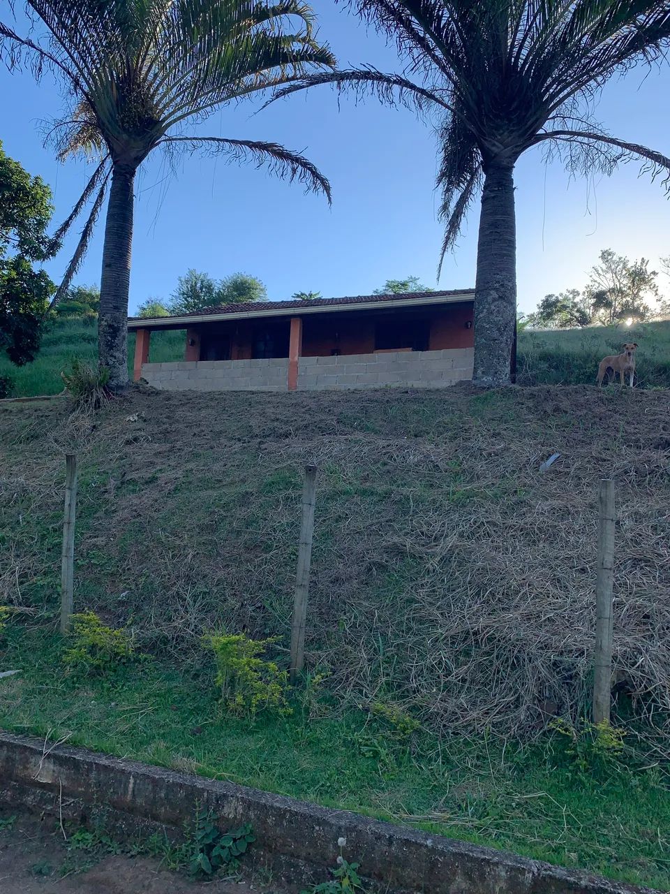 Sítio com casa 2200m2 - Foto 4