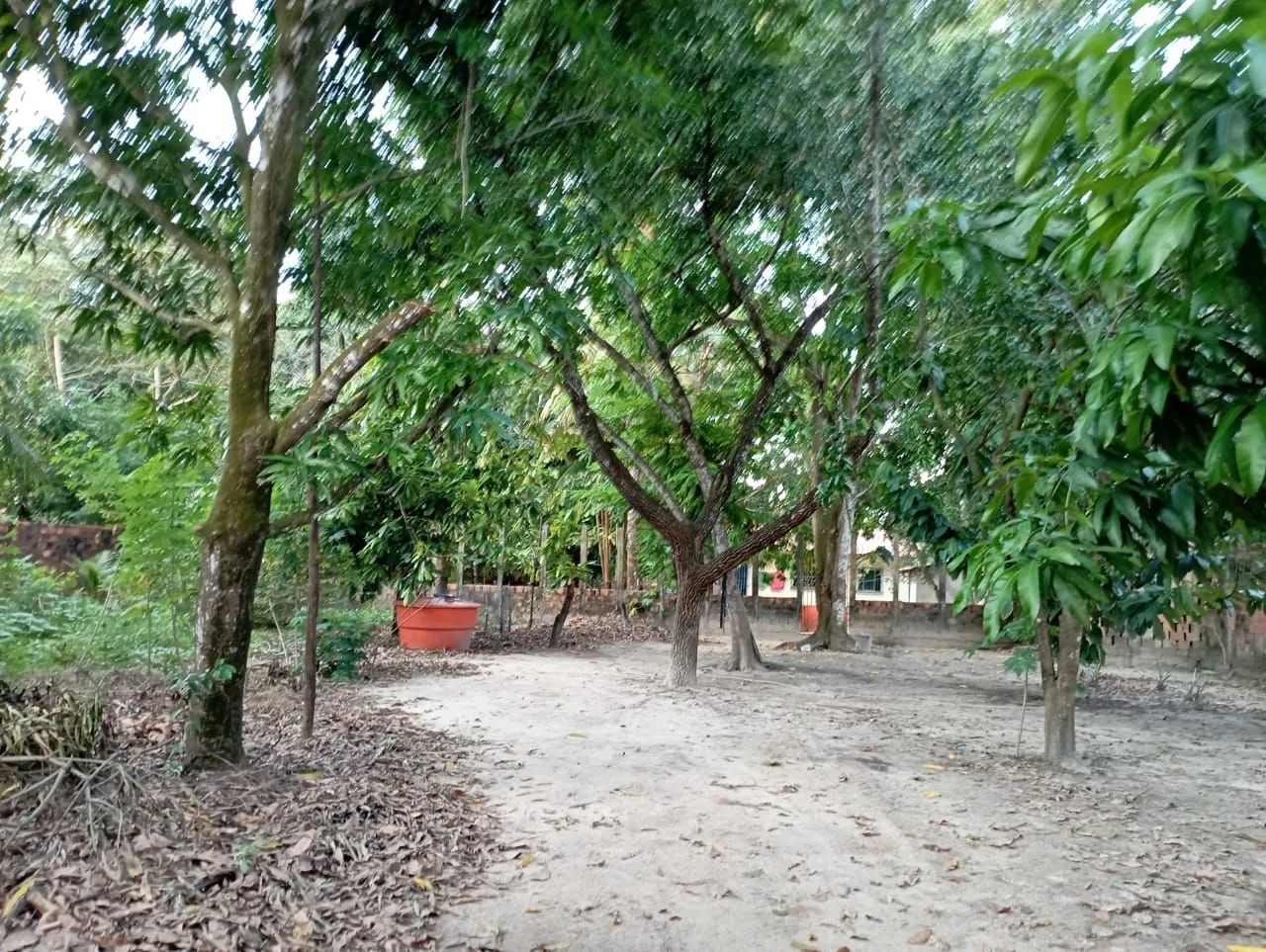 Vende sitio, casa sede todo arborizado - Foto 5