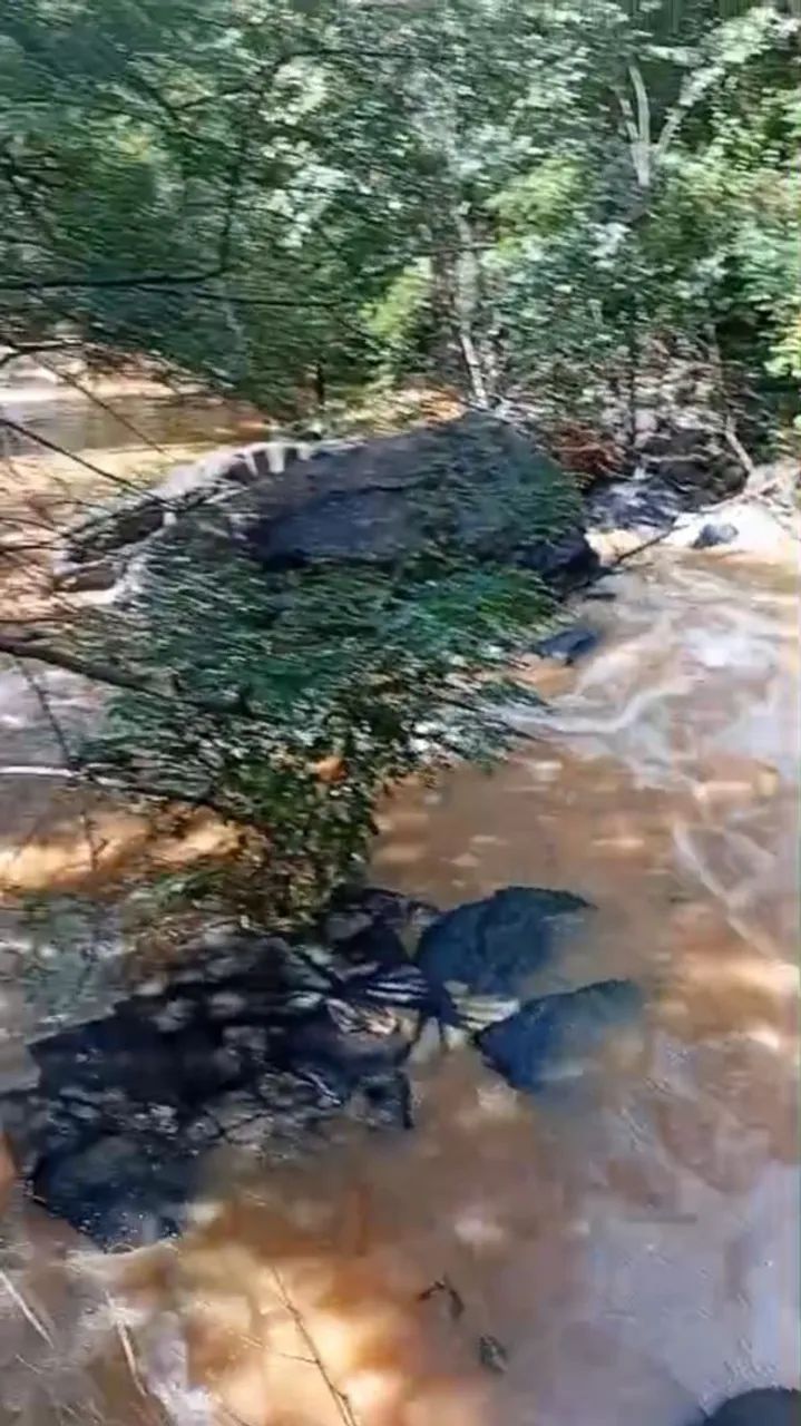 Sitio de 20,5 hectares a venda   - Foto 2
