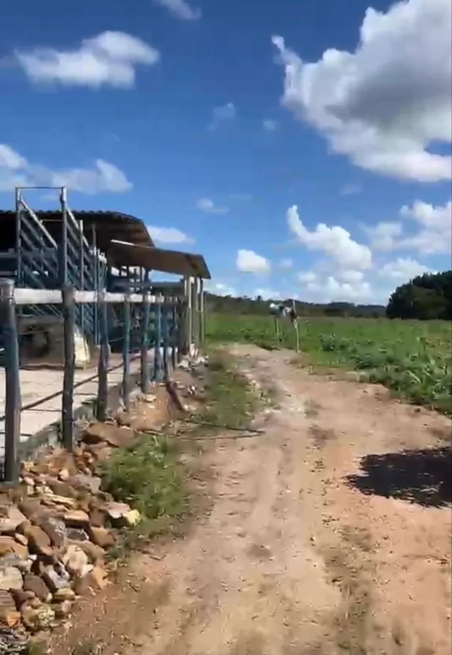 Sítio de Ailson - Foto 5