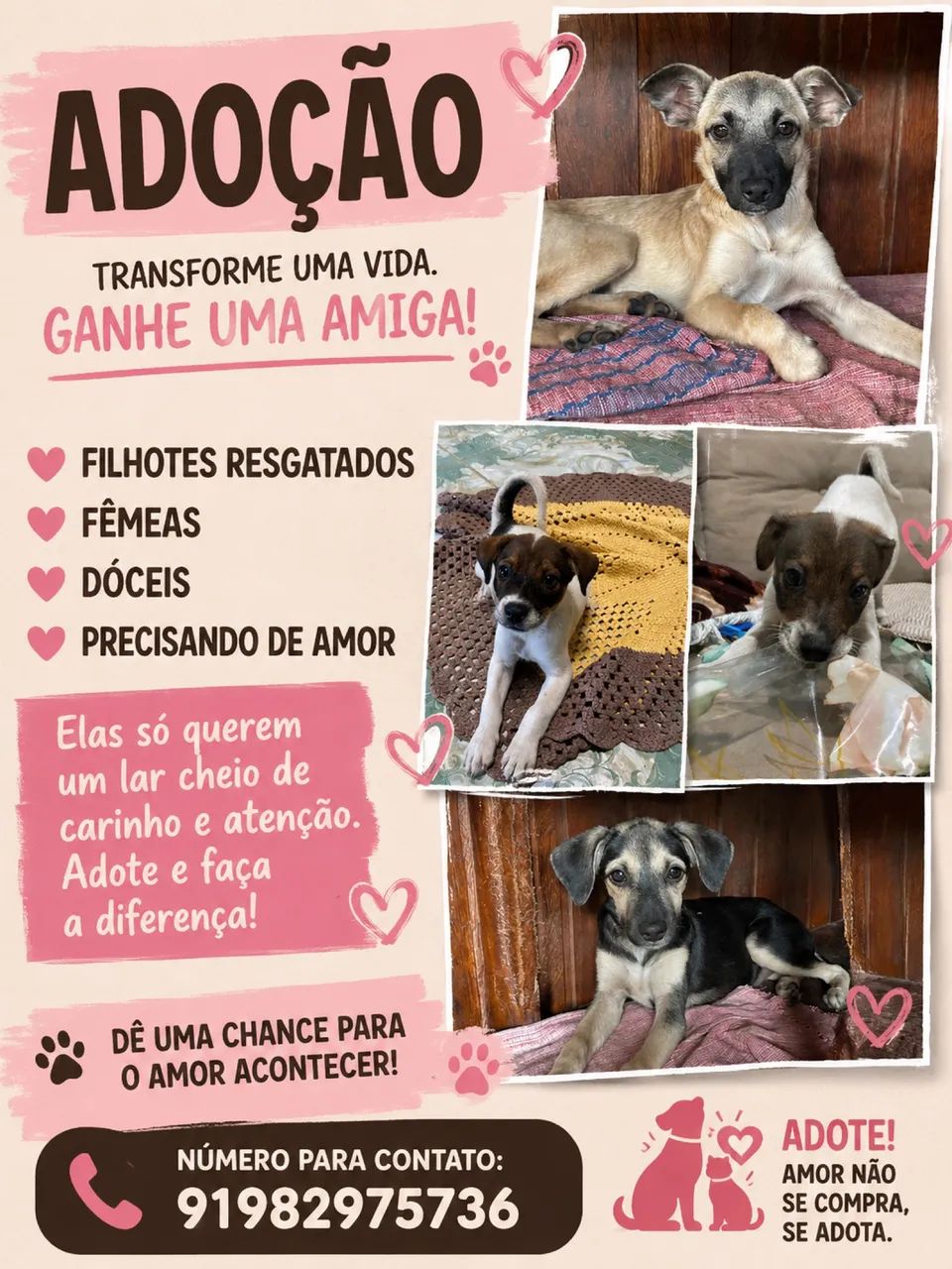 Doação 