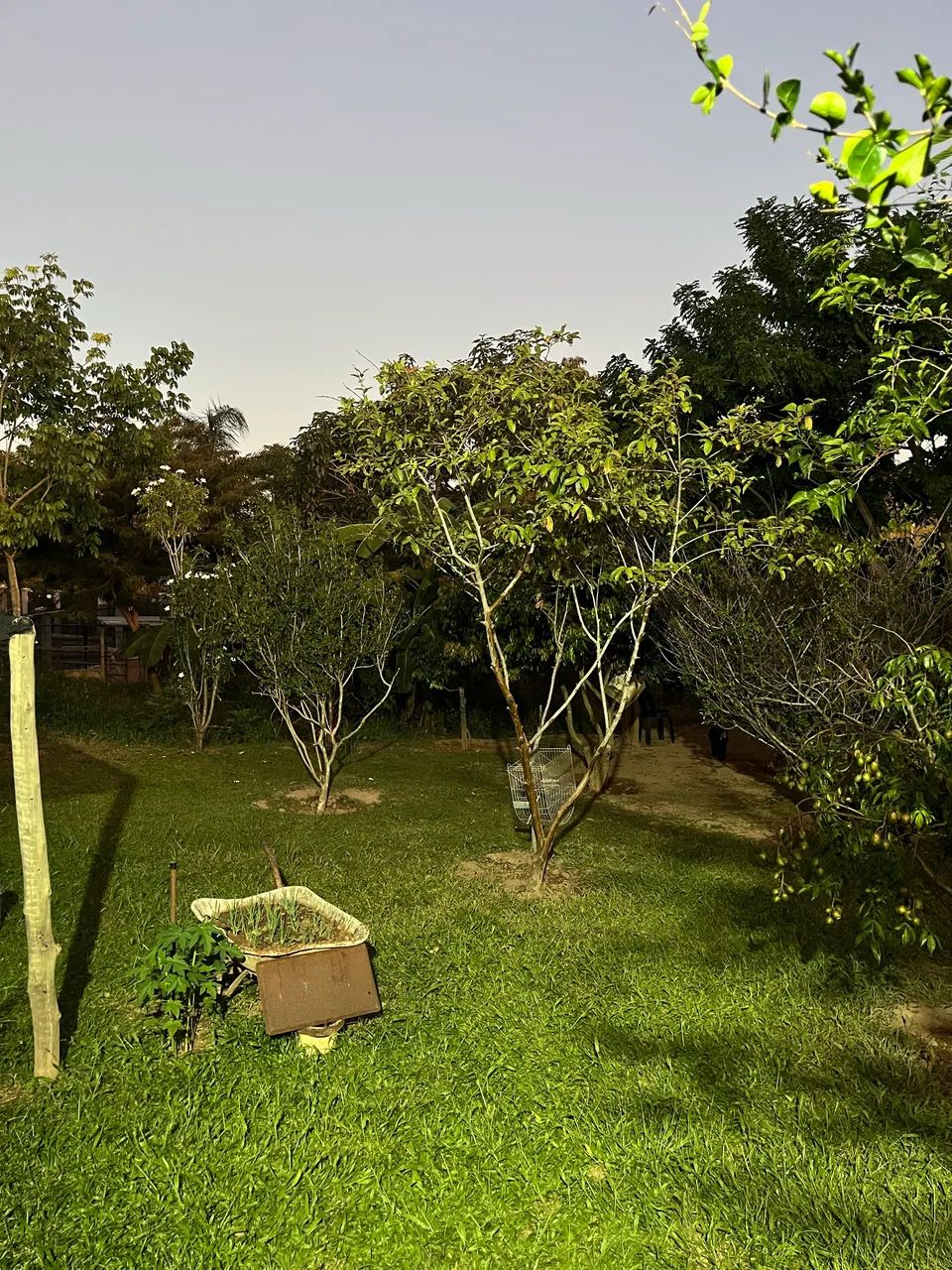Belo Sobrado em Caldas Novas - Foto 4