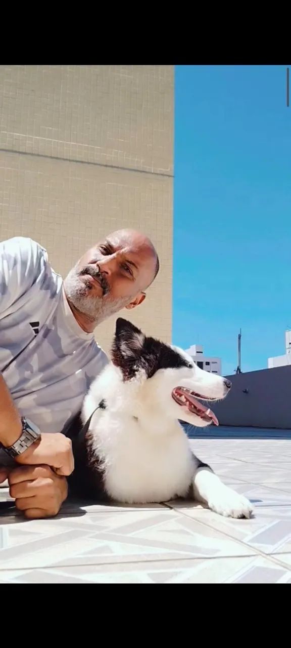 Adestramento de cachorros em João Pessoa - Foto 3