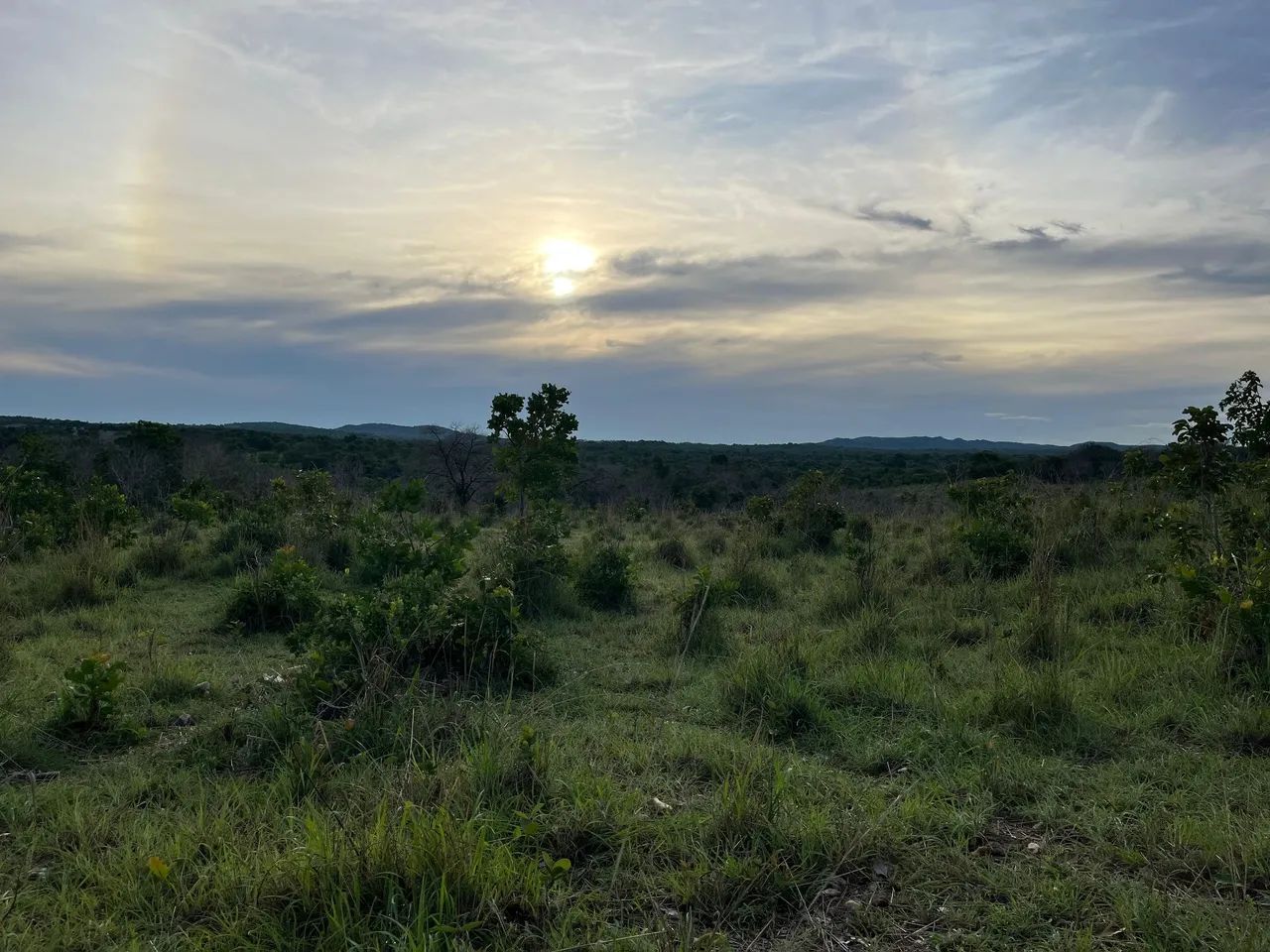 Fazenda a venda em Crixás  - Foto 2