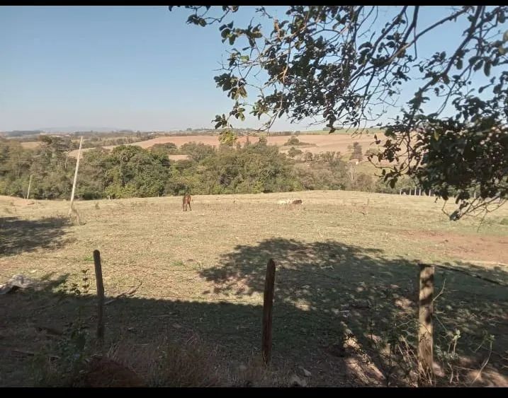 Vendo sítio na cidade de Tatuí SP excelente localização ideal para criação de gado 