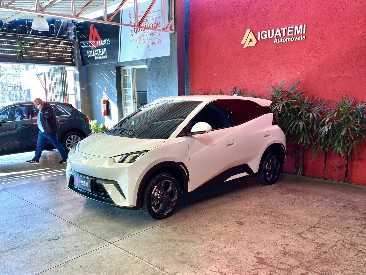 BYD Dolphin Mini (Elétrico) 2026 - Foto 4