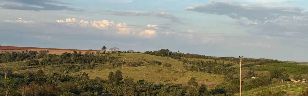 Sítio a venda - Foto 2