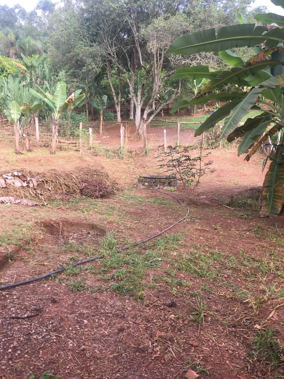 Foto - Taubaté - Parque Sabará