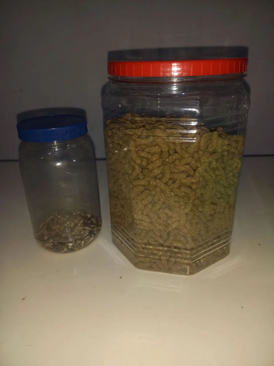 Vendo kit para hamster - Foto 6