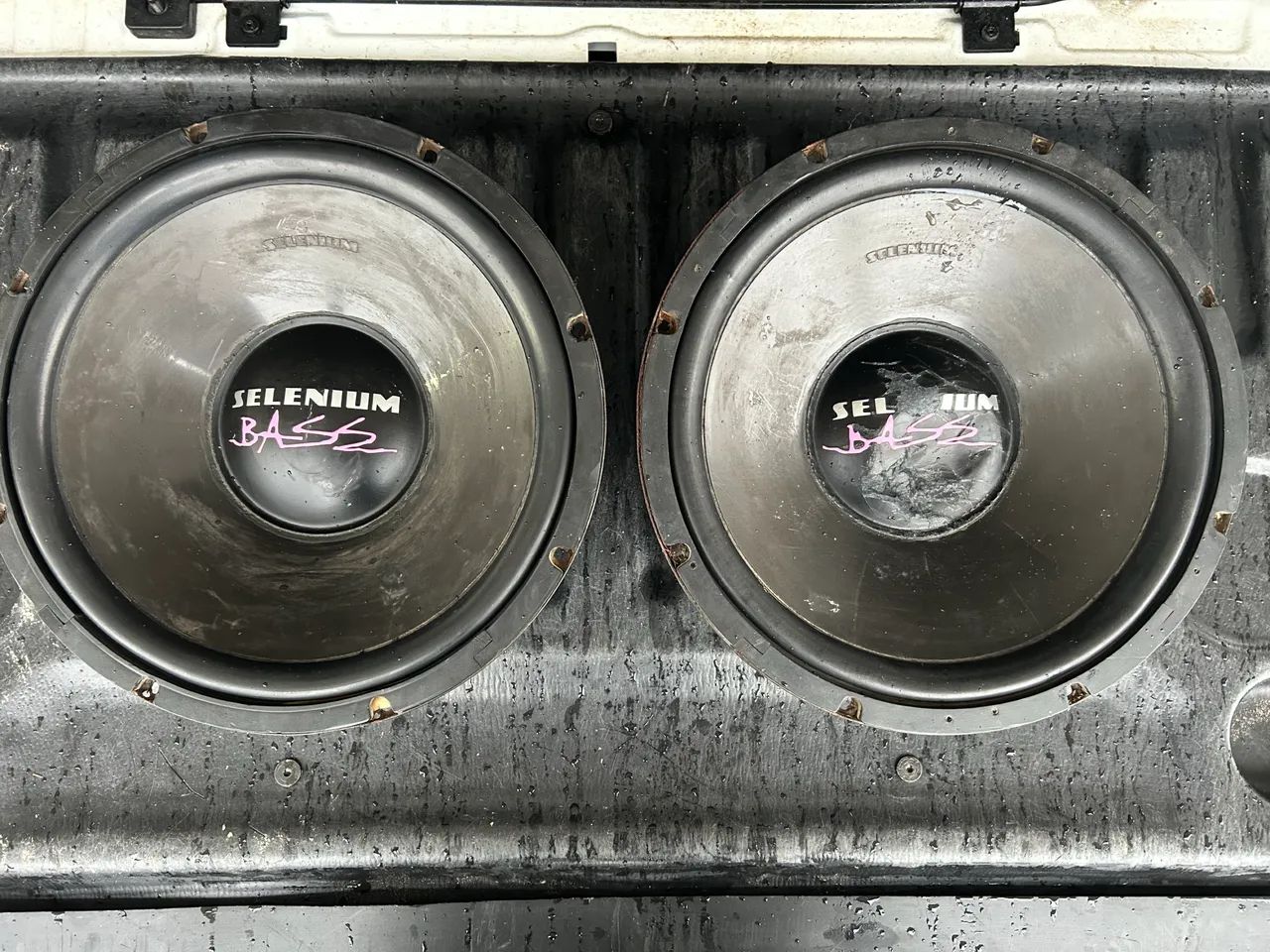 Selenium Bass - Foto 3