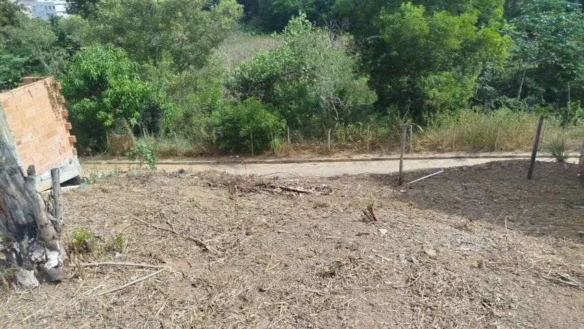 LOTES BAIRRO COLÚMBIA - COLATINA - Foto 4