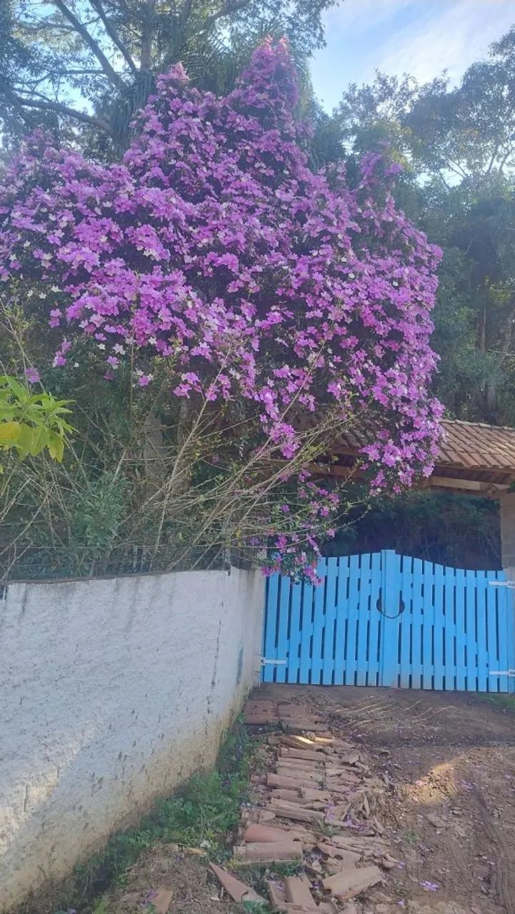 VENDO TERRENOS EM SÃO ROQUE  - Foto 2