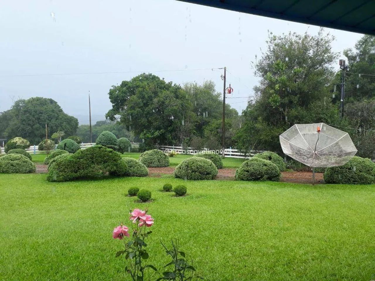 Sitio Próximo a Cascavel - Foto 4