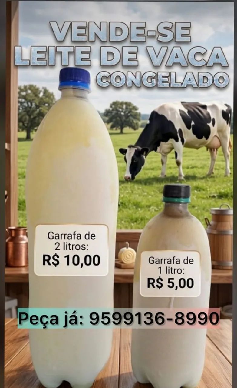 LEITE DE VACA CONGELADO