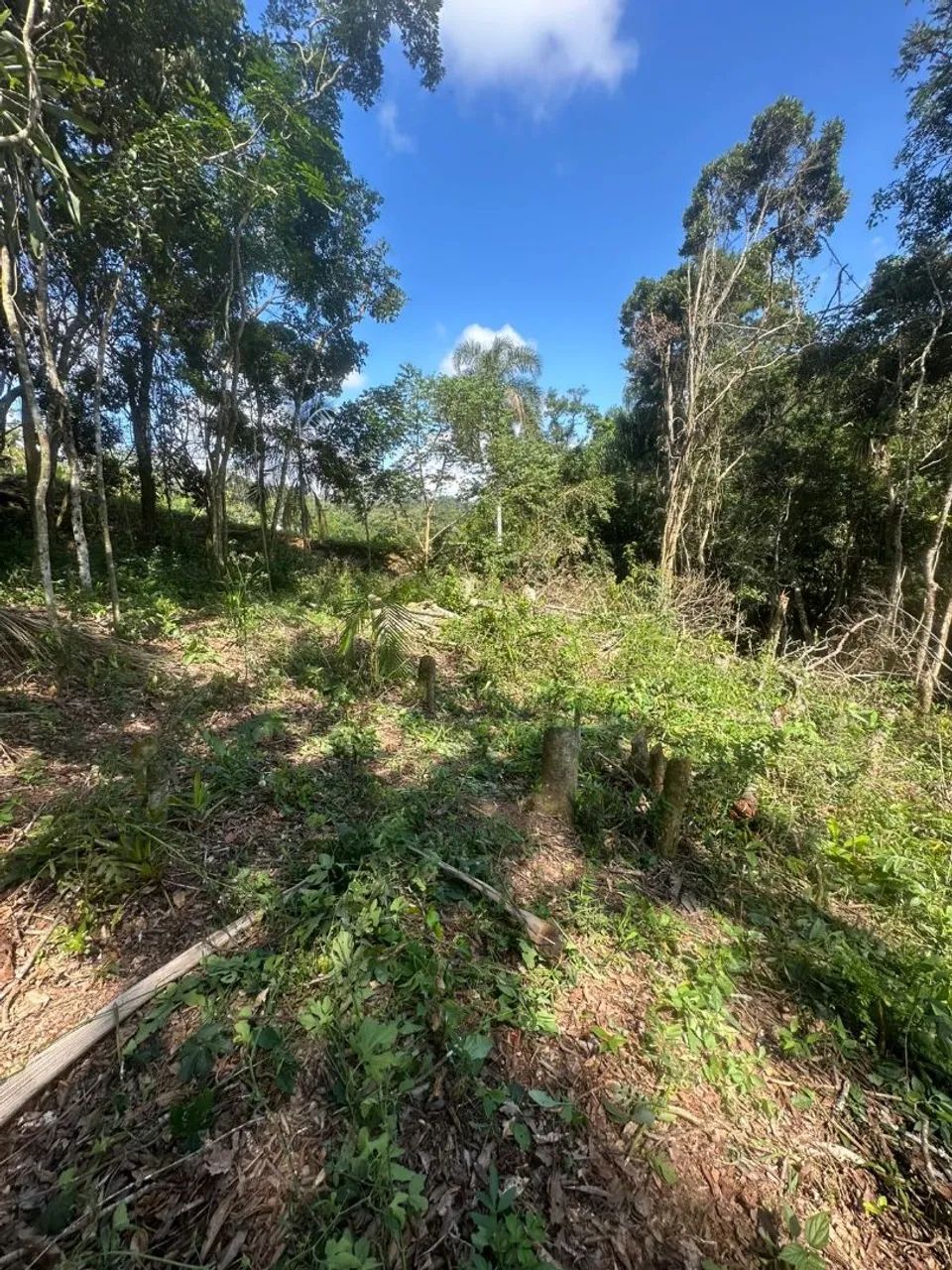 TERRENO ITAPECERICA 