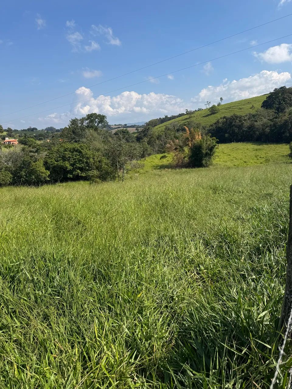 Terreno rural - Foto 4