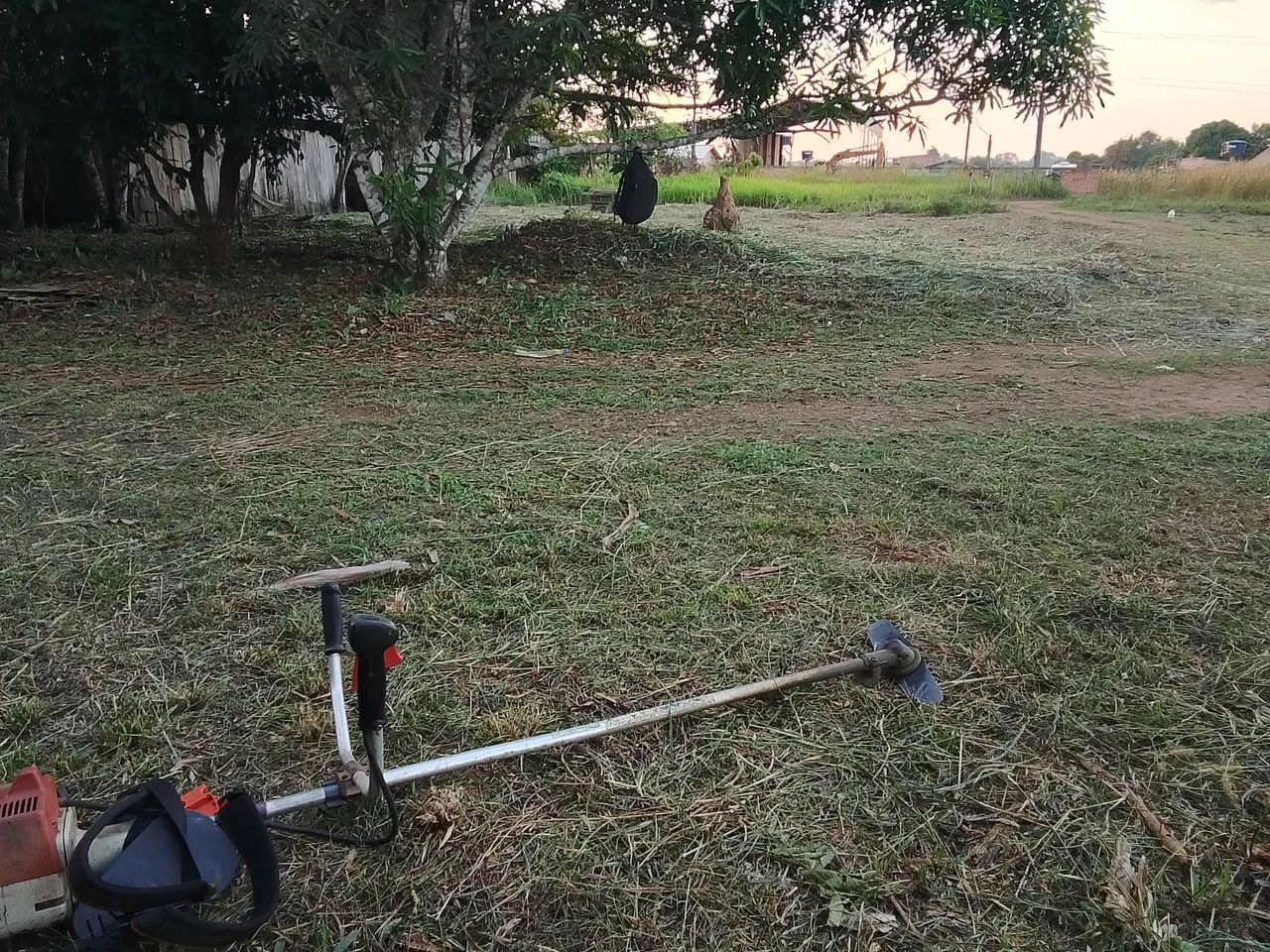 Roçador de terrenos lotes e chácaras interessado no chat - Foto 3