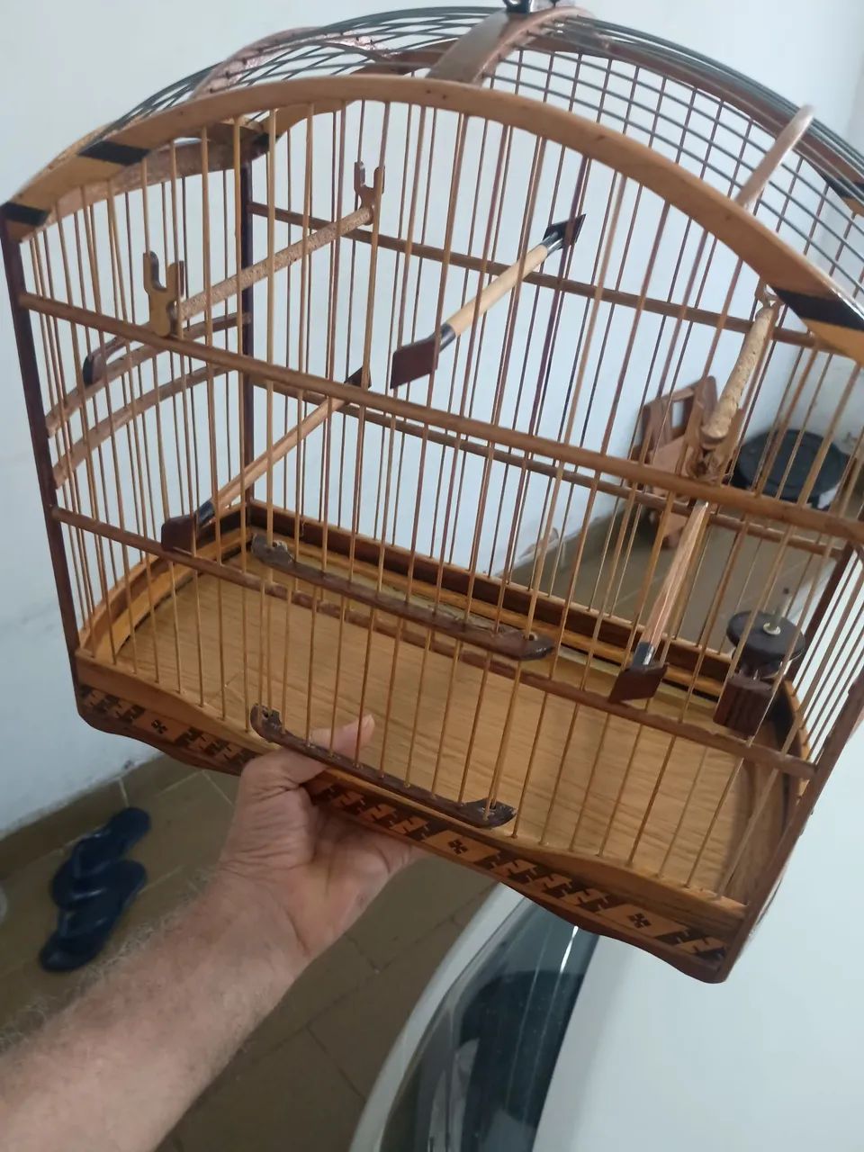 Animais e acessórios  - Foto 3