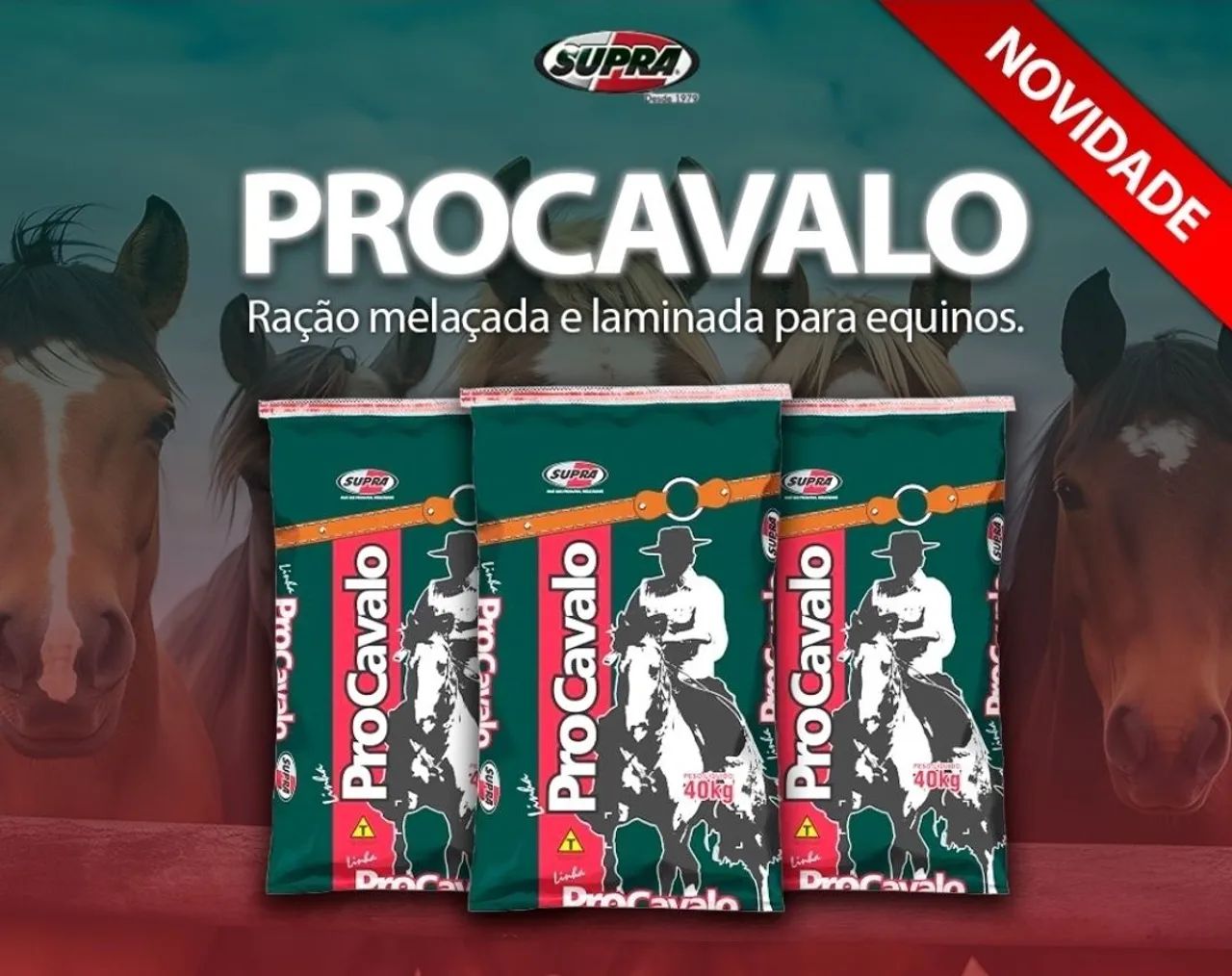 Ração para Cavalo SUPRA - Foto 5