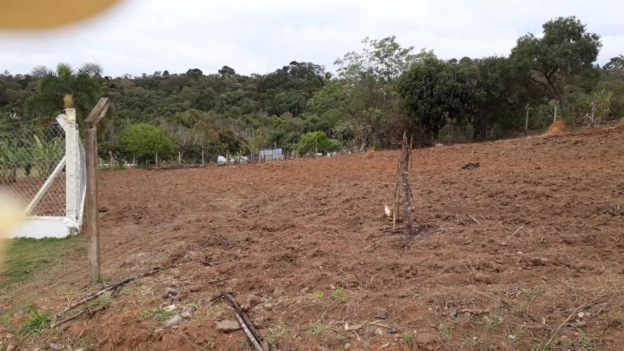 Foto - São Bernardo do Campo - Independência