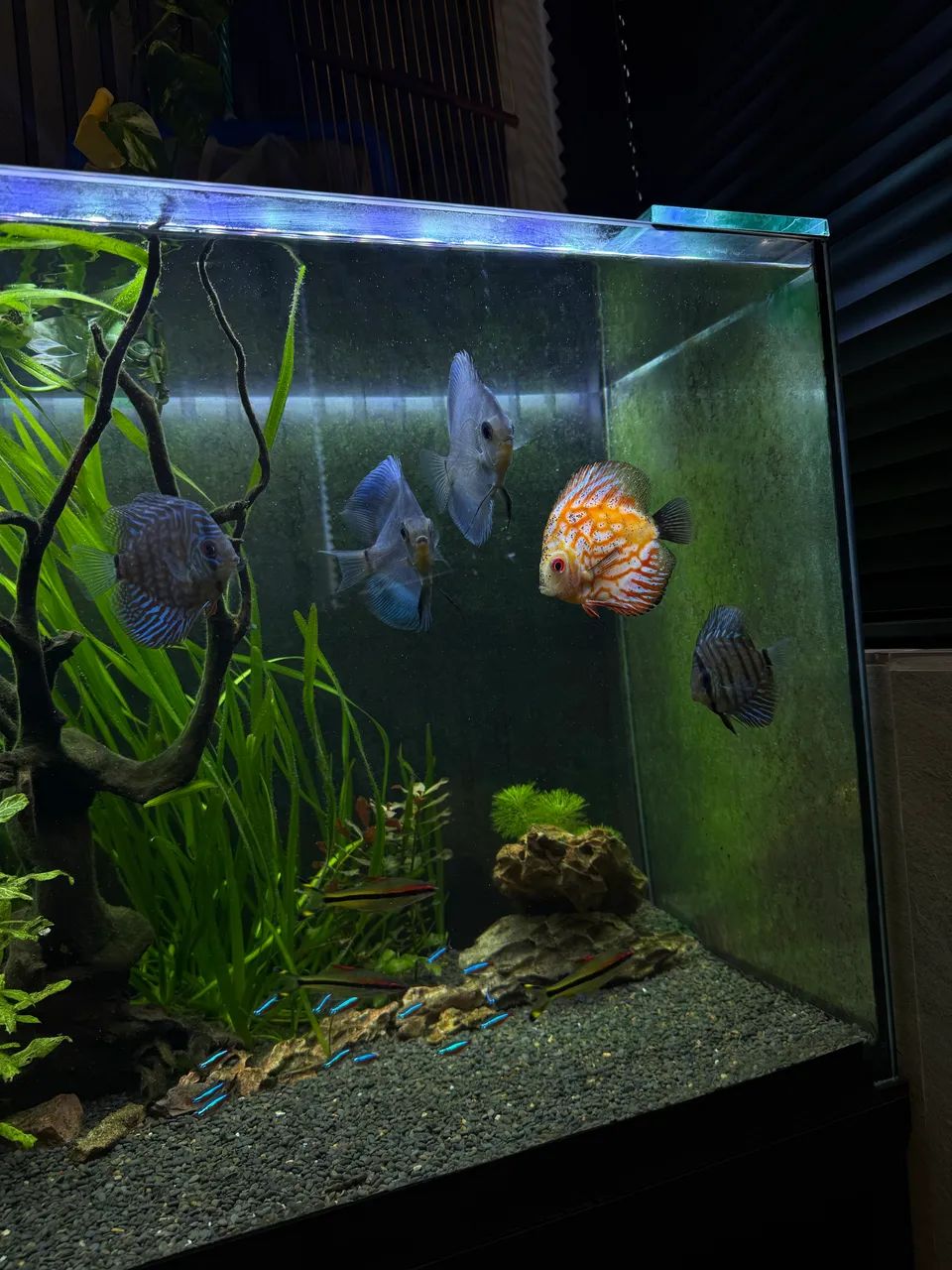 Aquário 1,20m - Foto 5