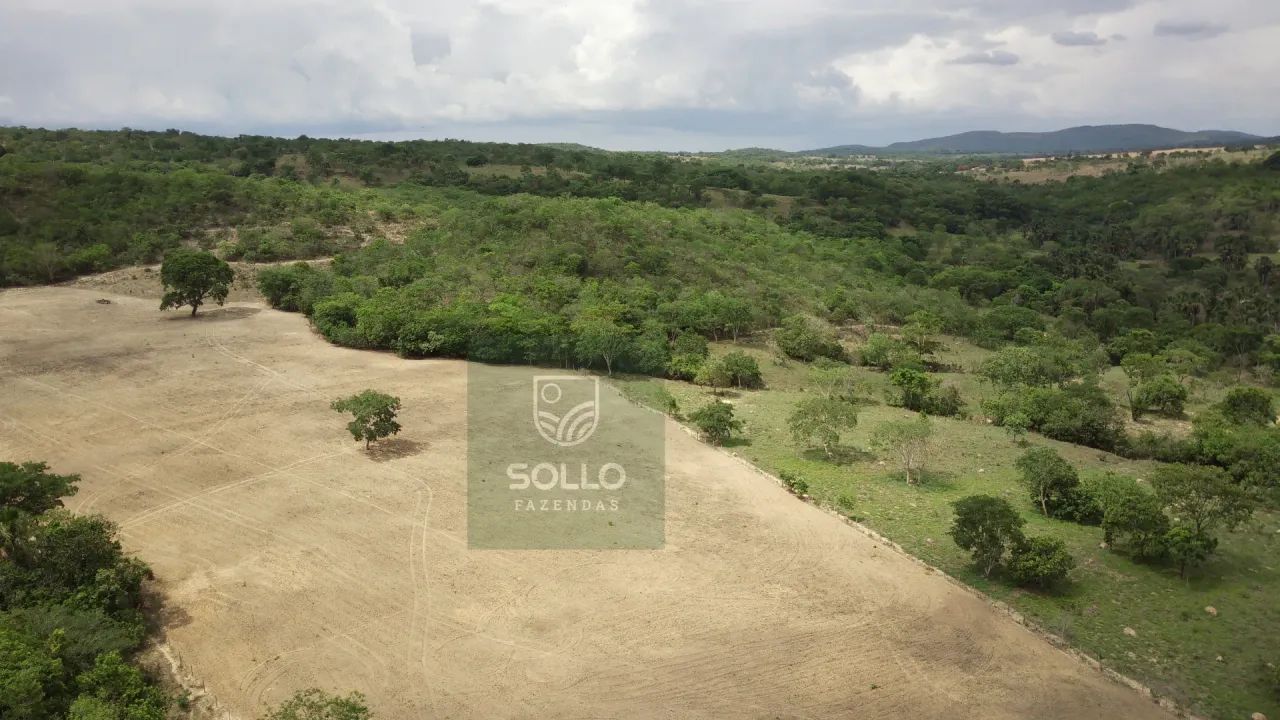 Fazenda formada 25 alqueires no Varjão - Foto 3